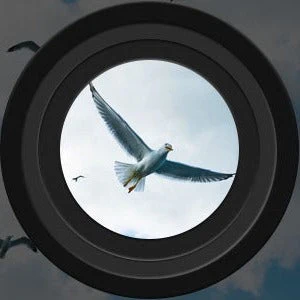 Productafbeelding 2